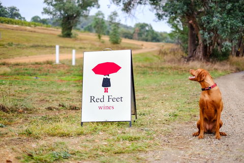 Red Feet Wines - Timeshare Accommodation 2