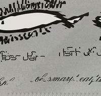 Williamstown Mussels