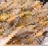 Jammy Cow - Timeshare Accommodation