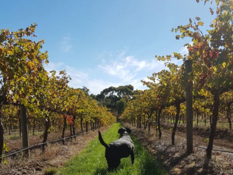 Ruddenklau Wines - Timeshare Accommodation 0