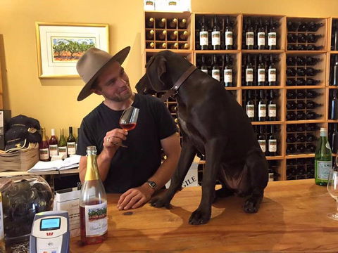 Vinden Estate Wines - Timeshare Accommodation 1