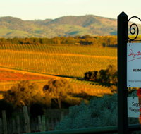 Seize the Day Wines