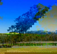 Degen Wines - Timeshare Accommodation