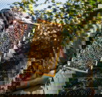 Pure Peninsula Honey