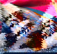 Delhi Grill - Timeshare Accommodation