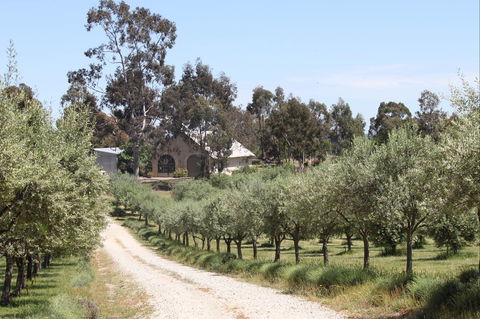 L'Oliveraie Olive Grove - Timeshare Accommodation 0
