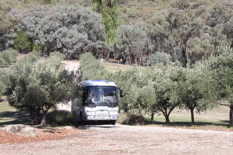 L'Oliveraie Olive Grove - Timeshare Accommodation 2
