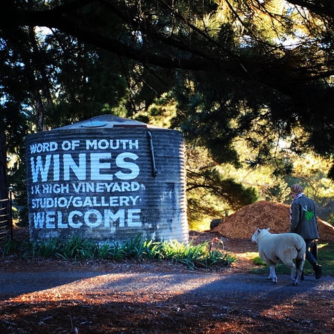 Word Of Mouth Wines - Timeshare Accommodation 1
