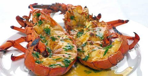 Chefs Of Tandoori - Timeshare Accommodation 27