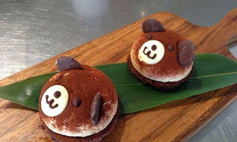 Lazy Rabbit - Timeshare Accommodation 11