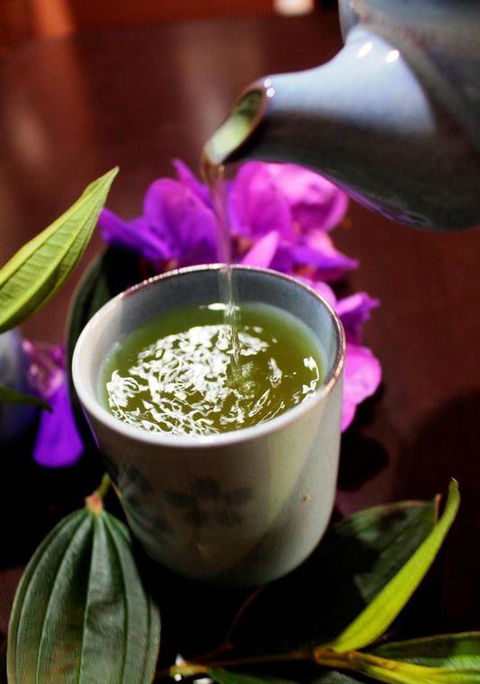 Lazy Rabbit - Timeshare Accommodation 4