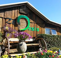 Zen Oasis Vegetarian Restaurant - Timeshare Accommodation