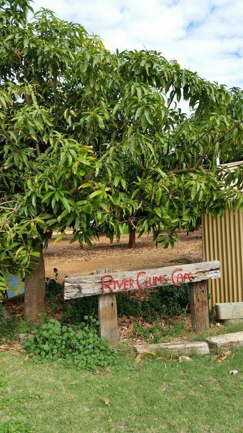 River Gums Cafe - Timeshare Accommodation 1