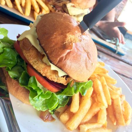 Macclesfield SA Timeshare Accommodation