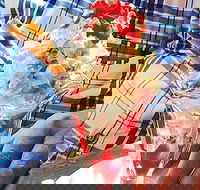 Jones Road Cellar Door