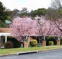 White Lanterns Motel - Timeshare Accommodation