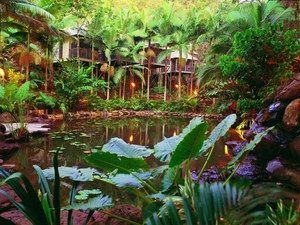 Daintree Eco Lodge & Spa - Timeshare Accommodation 0