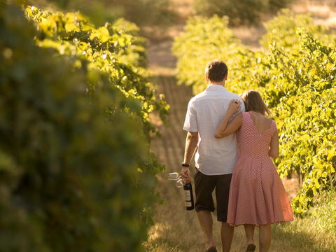 Novotel Barossa Valley Resort - Timeshare Accommodation 1
