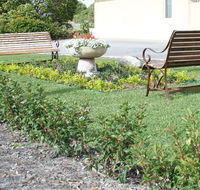 SureStay by BW The Clarence on Melville - Timeshare Accommodation