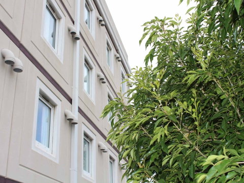 Ibis Newcastle - Timeshare Accommodation 1