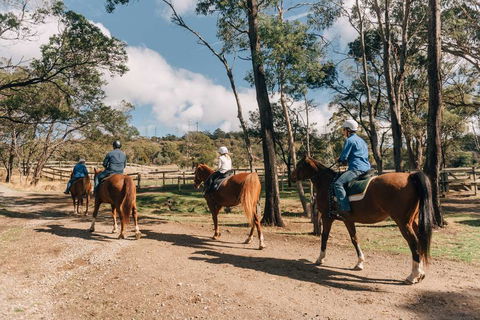 Country Club Tasmania - Timeshare Accommodation 0