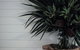 Bangalay Luxury Villas - thumb 13