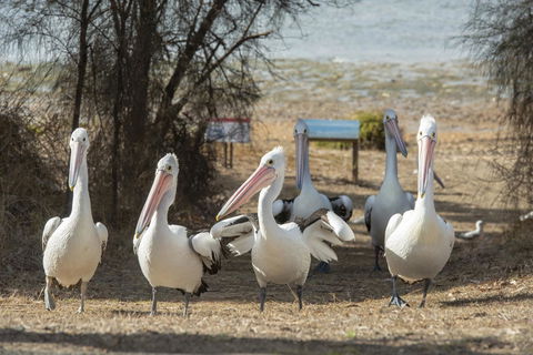Mercure Kangaroo Island Lodge - Timeshare Accommodation 15