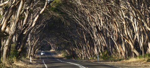 Mercure Kangaroo Island Lodge - Timeshare Accommodation 40