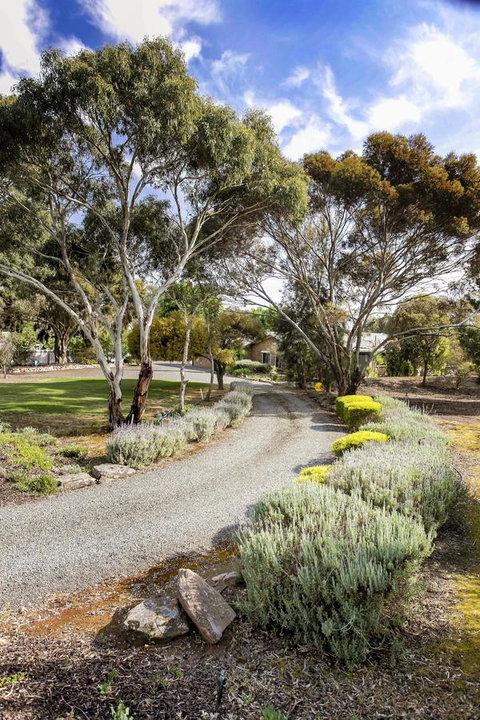 Barossa Retro BnB - Timeshare Accommodation 4