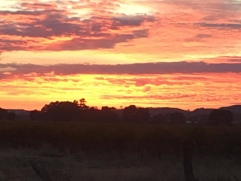 Barossa Retro BnB - Timeshare Accommodation 21