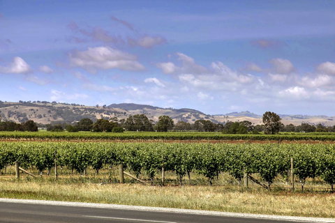 Barossa Retro BnB - Timeshare Accommodation 2