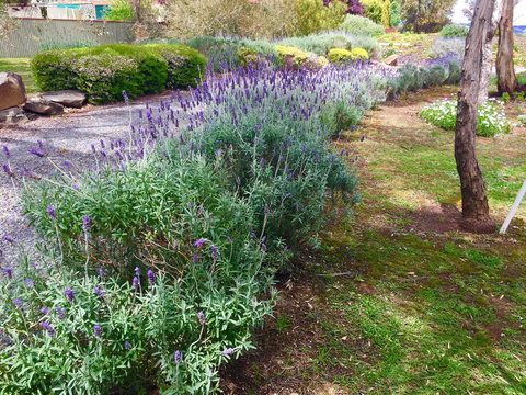 Barossa Retro BnB - Timeshare Accommodation 23