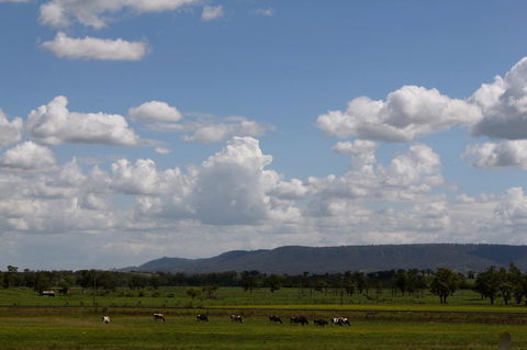 Isis Motel Scone - Timeshare Accommodation 5