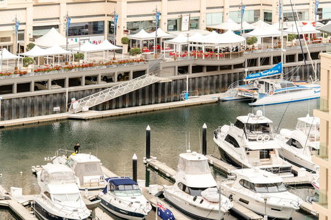Beachside Luxury & Comfort, Ocean Views In Glenelg - Timeshare Accommodation 6