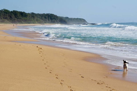 Culburra Beachhouse - Timeshare Accommodation 7