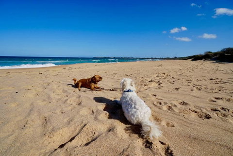 Culburra Beachhouse - Timeshare Accommodation 8
