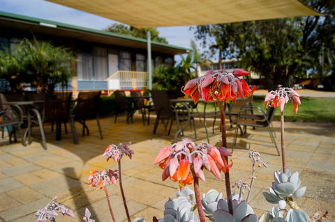 Kangaroo Island Seaview Motel - Timeshare Accommodation 3