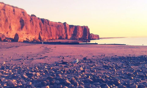 Ardrossan Caravan Park - Timeshare Accommodation 31