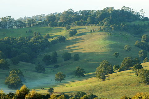 SummerHills Retreat Byron Bay - Timeshare Accommodation 20