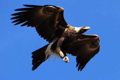 Eagles Range - Timeshare Accommodation 16