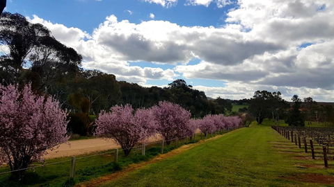 D2 At Watervale - Timeshare Accommodation 22