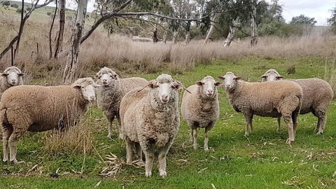 D2 At Watervale - Timeshare Accommodation 24