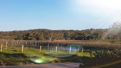 D2 At Watervale - Timeshare Accommodation 23