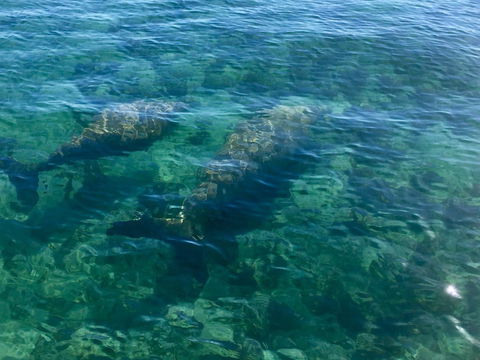 Escape 2 Exmouth - Timeshare Accommodation 28