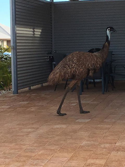 Escape 2 Exmouth - Timeshare Accommodation 15