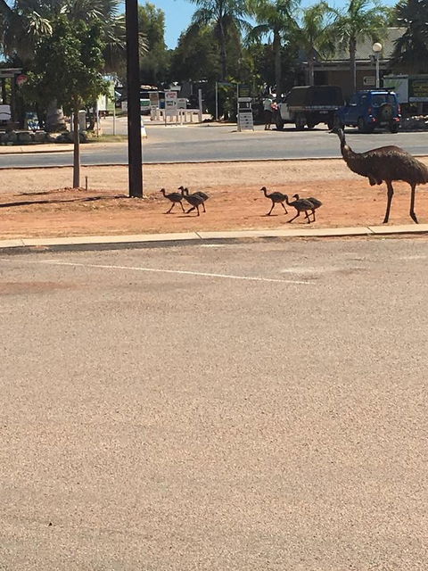 Escape 2 Exmouth - Timeshare Accommodation 29