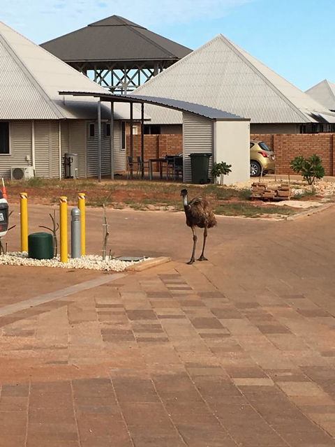 Escape 2 Exmouth - Timeshare Accommodation 16