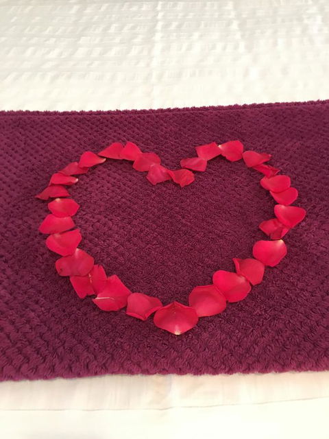 Nelson Bay Bed & Breakfast - Timeshare Accommodation 4