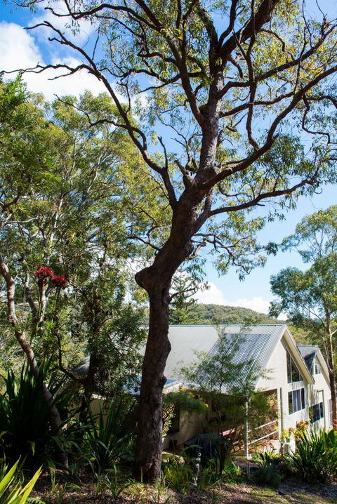 Nelson Bay Bed & Breakfast - Timeshare Accommodation 42
