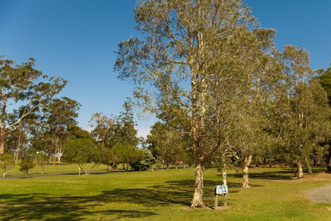 Kempsey Rose Motor Inn - Timeshare Accommodation 32